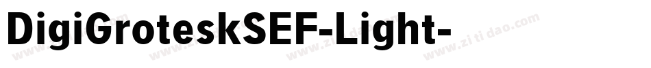 DigiGroteskSEF-Light字体转换