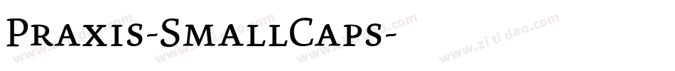 Praxis-SmallCaps字体转换