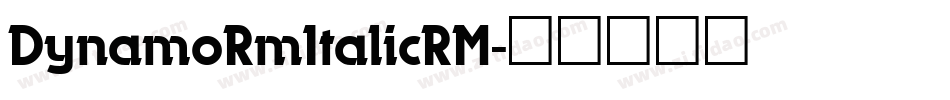 DynamoRmItalicRM字体转换