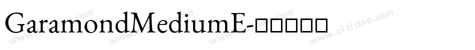GaramondMediumE字体转换
