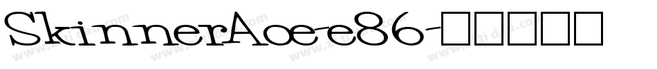 SkinnerAoe-e86字体转换