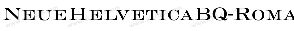 NeueHelveticaBQ-Roma字体转换