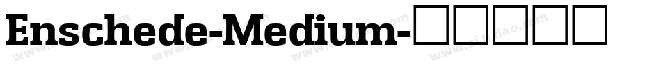 Enschede-Medium字体转换