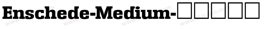 Enschede-Medium字体转换