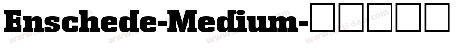 Enschede-Medium字体转换