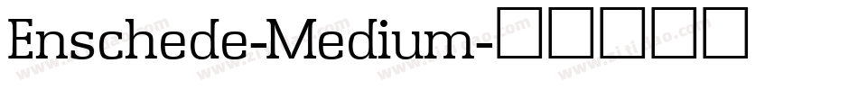 Enschede-Medium字体转换