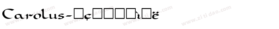 Carolus字体转换