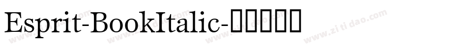 Esprit-BookItalic字体转换