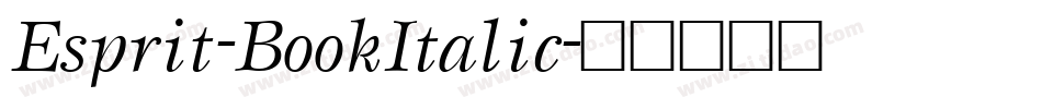 Esprit-BookItalic字体转换