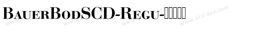 BauerBodSCD-Regu字体转换