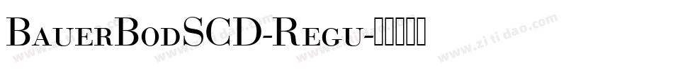 BauerBodSCD-Regu字体转换