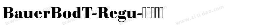 BauerBodT-Regu字体转换