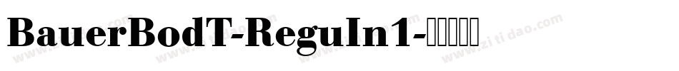 BauerBodT-ReguIn1字体转换