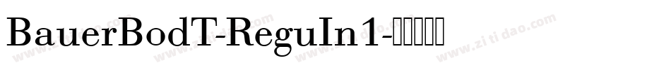 BauerBodT-ReguIn1字体转换