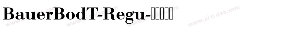 BauerBodT-Regu字体转换