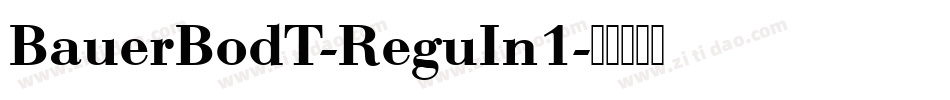 BauerBodT-ReguIn1字体转换