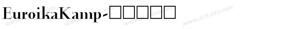 EuroikaKamp字体转换