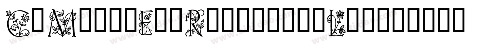 CfMarieEveRegular-6L5o字体转换