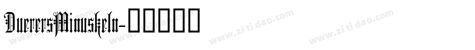 DuerersMinuskeln字体转换