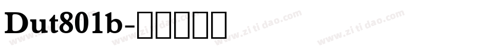 Dut801b字体转换