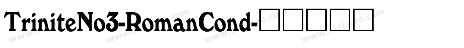 TriniteNo3-RomanCond字体转换