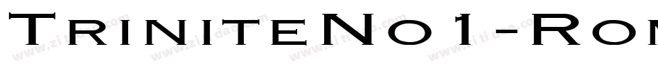 TriniteNo1-RomanCondensedEx字体转换