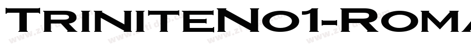 TriniteNo1-RomanCondensedEx字体转换