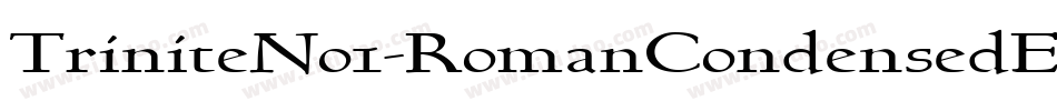 TriniteNo1-RomanCondensedEx字体转换