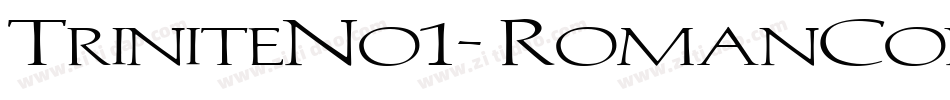 TriniteNo1-RomanCondensedEx字体转换