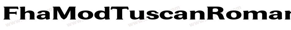 FhaModTuscanRomanOpenNcv-AW37字体转换