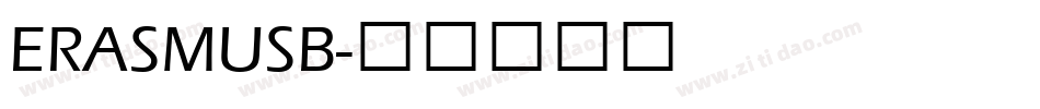ERASMUSB字体转换