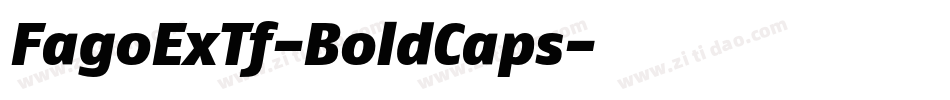 FagoExTf-BoldCaps字体转换