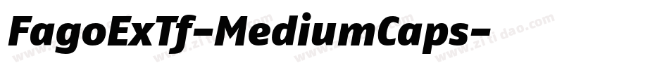 FagoExTf-MediumCaps字体转换