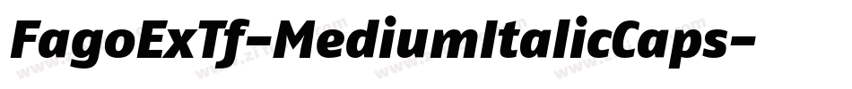 FagoExTf-MediumItalicCaps字体转换