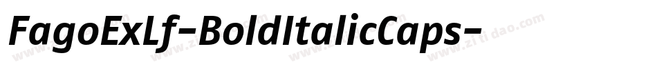 FagoExLf-BoldItalicCaps字体转换