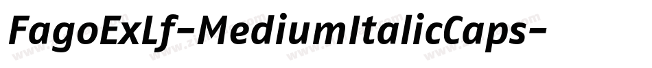 FagoExLf-MediumItalicCaps字体转换