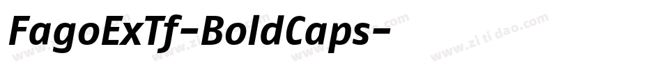 FagoExTf-BoldCaps字体转换