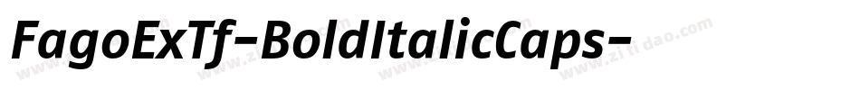 FagoExTf-BoldItalicCaps字体转换