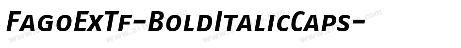 FagoExTf-BoldItalicCaps字体转换