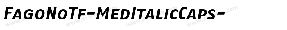 FagoNoTf-MedItalicCaps字体转换