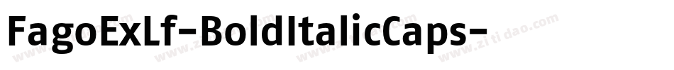 FagoExLf-BoldItalicCaps字体转换