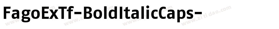 FagoExTf-BoldItalicCaps字体转换