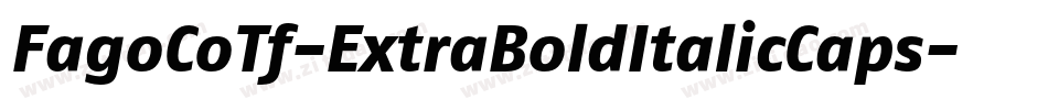 FagoCoTf-ExtraBoldItalicCaps字体转换