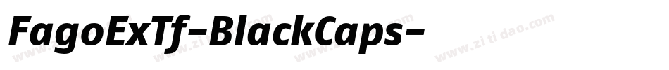 FagoExTf-BlackCaps字体转换