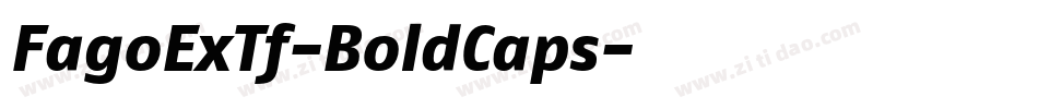 FagoExTf-BoldCaps字体转换