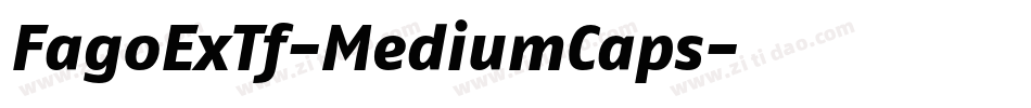 FagoExTf-MediumCaps字体转换