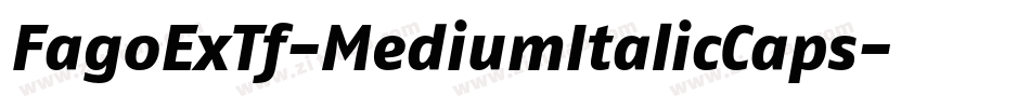 FagoExTf-MediumItalicCaps字体转换