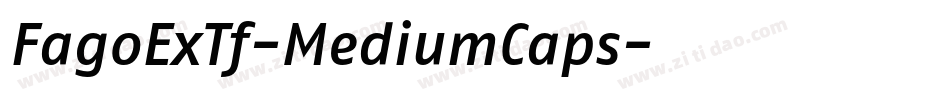 FagoExTf-MediumCaps字体转换