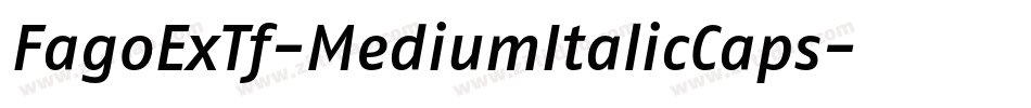 FagoExTf-MediumItalicCaps字体转换
