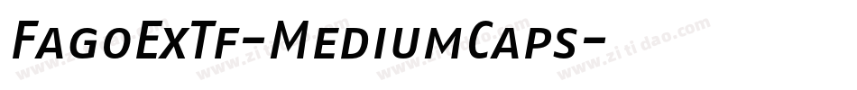 FagoExTf-MediumCaps字体转换